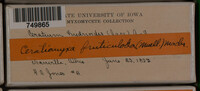 Image Associated With the Occurence